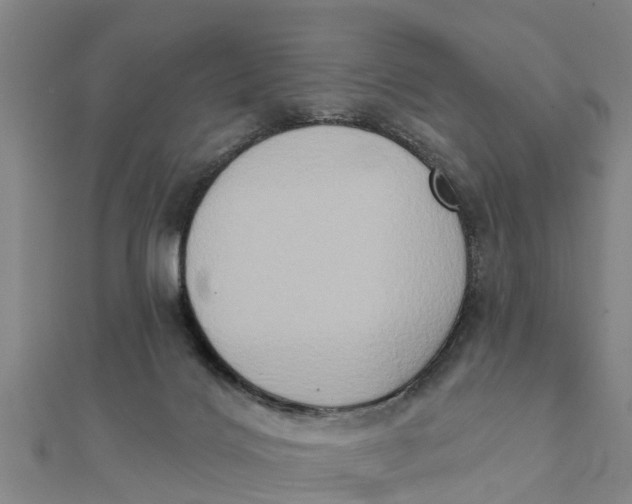 X0000111520028200908041253