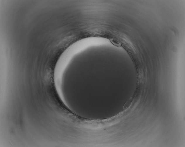 X0000111520029200908041253