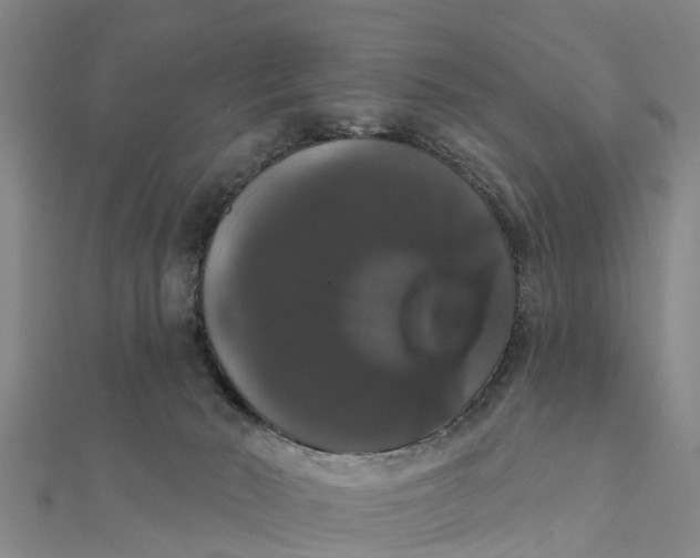 X0000111520030200908041253