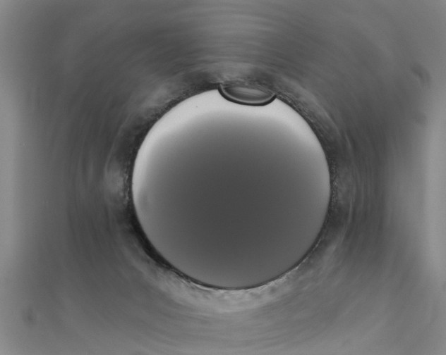 X0000111520031200908041253