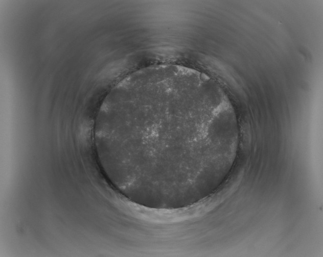 X0000111520034200908041253