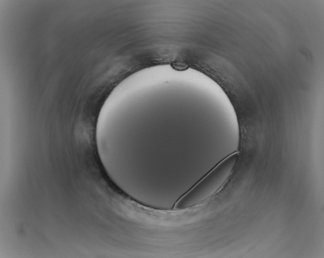 X0000111520035200908041253