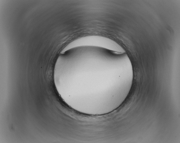 X0000111520036200908041253
