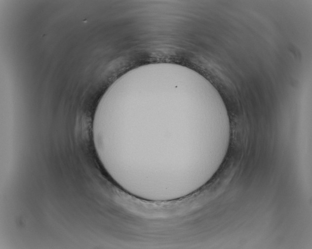 X0000111520038200908041253