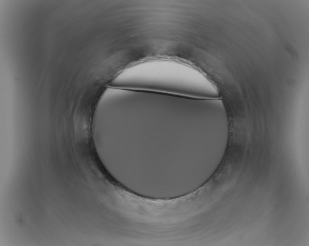 X0000111520039200908041253