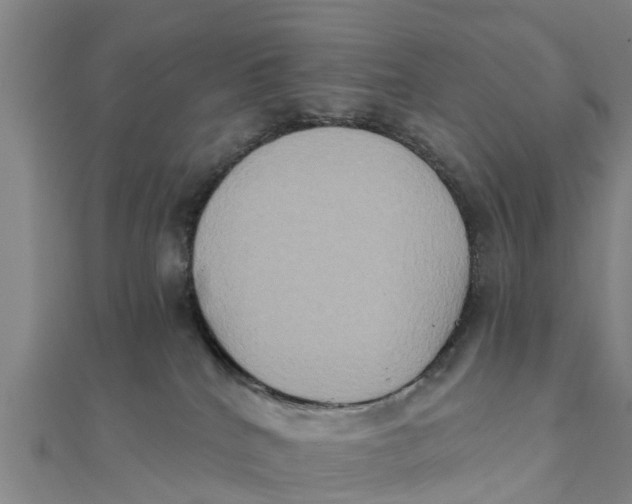 X0000111520040200908041253