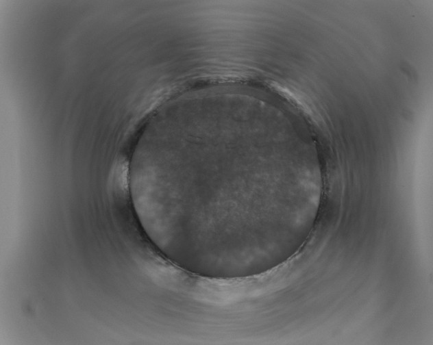 X0000111520041200908041253