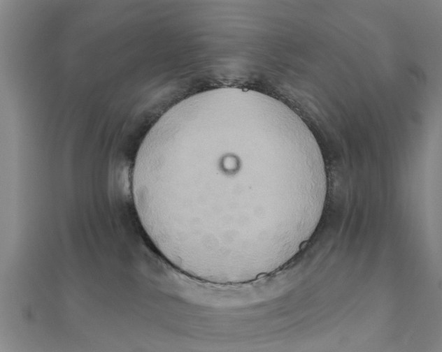 X0000111520042200908041253