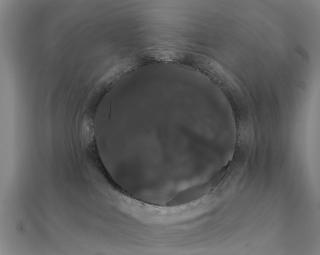 X0000111520043200908041253