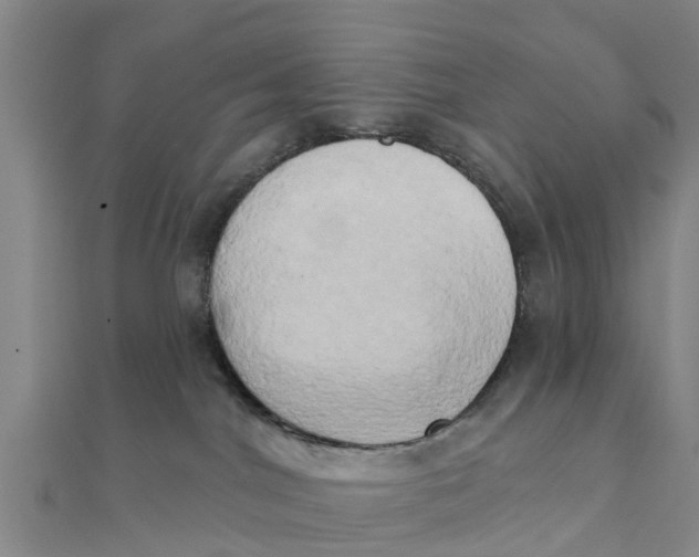 X0000111520044200908041253