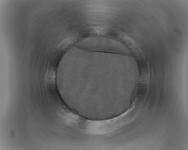 X0000111520045200908041253