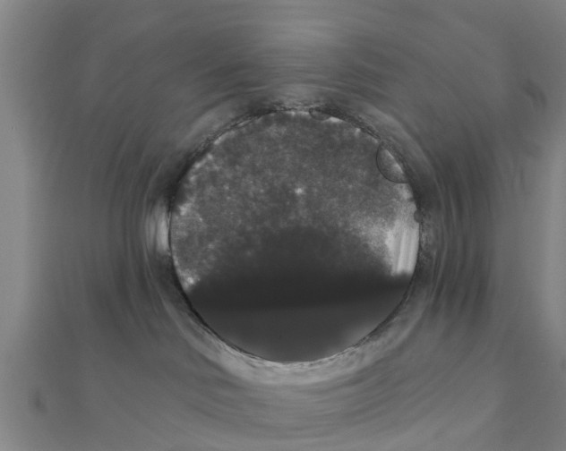 X0000111520046200908041253