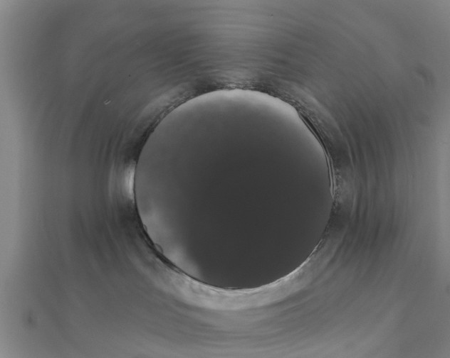 X0000111520047200908041253