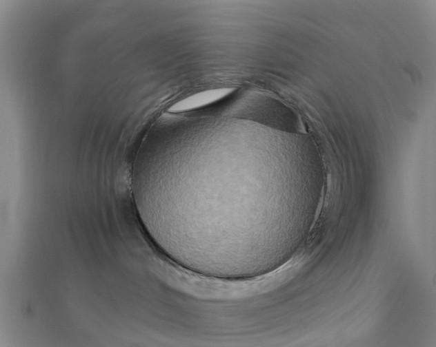 X0000111520048200908041253