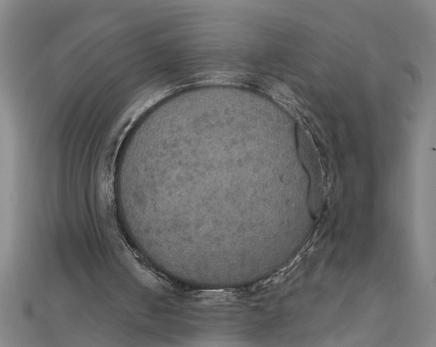 X0000111520050200908041252