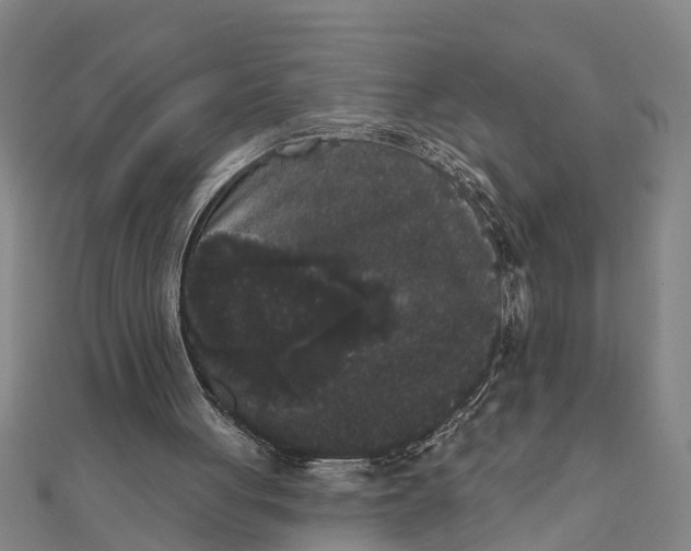 X0000111520051200908041252