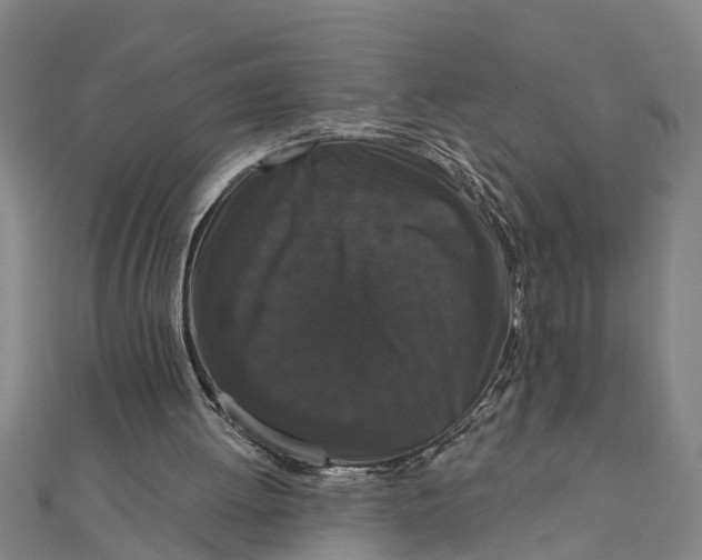 X0000111520052200908041252