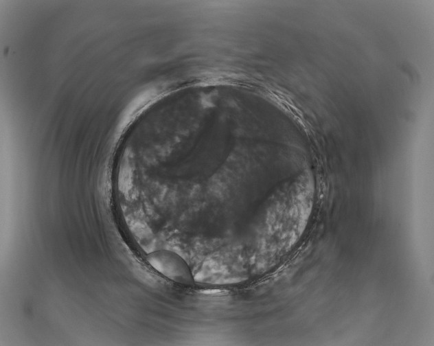 X0000111520053200908041252