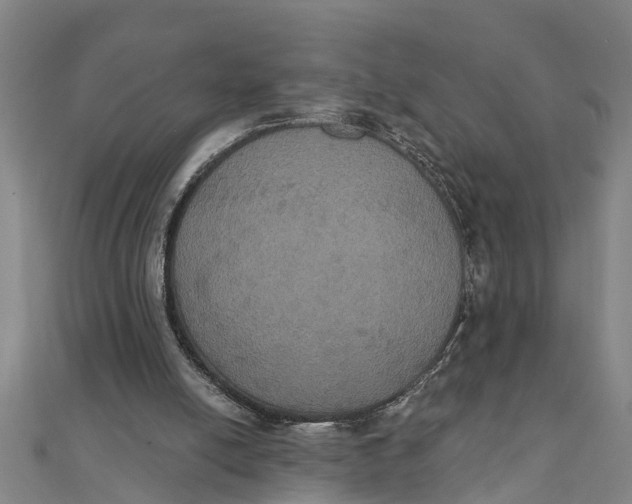 X0000111520054200908041252