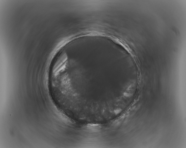 X0000111520055200908041252