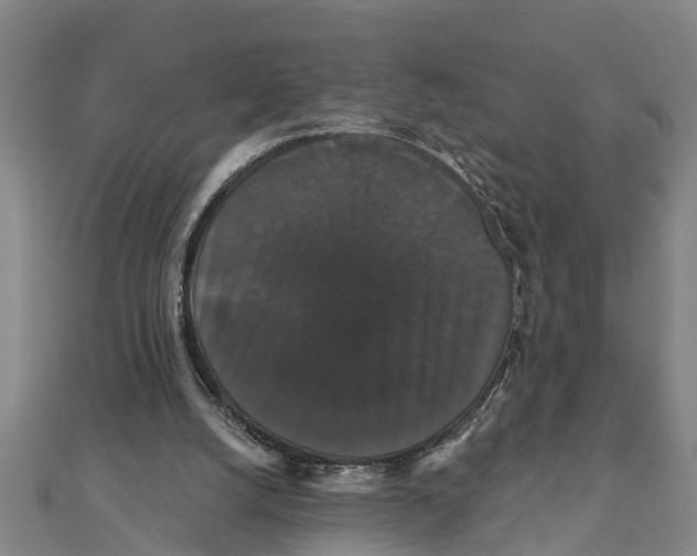 X0000111520056200908041252