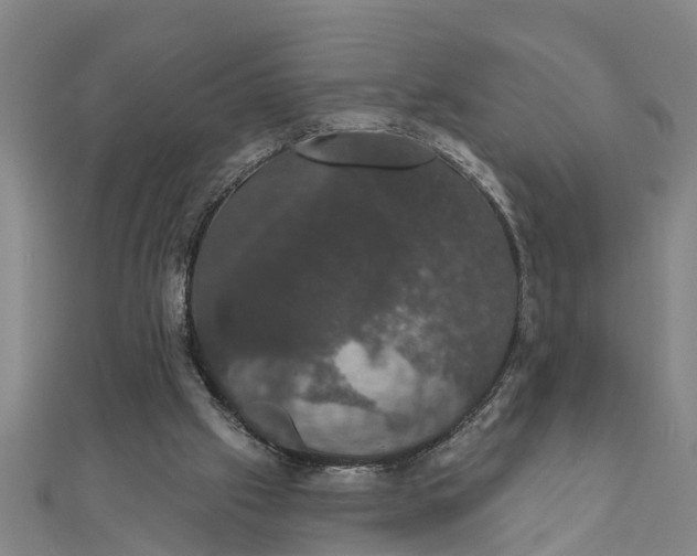 X0000111520057200908041252