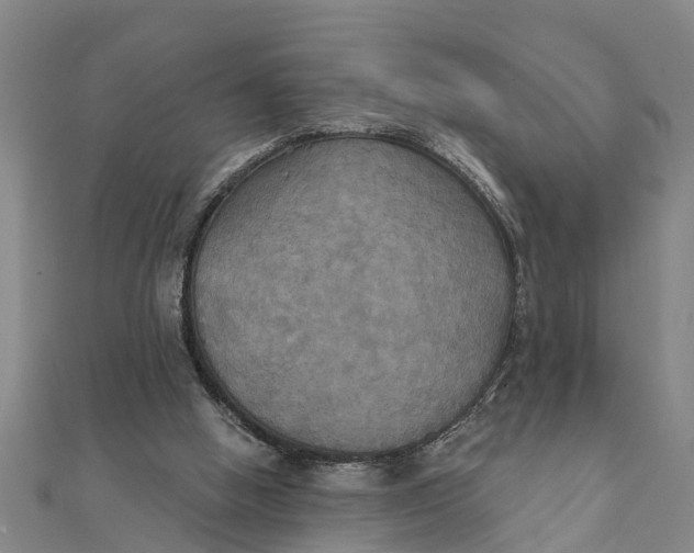 X0000111520058200908041252