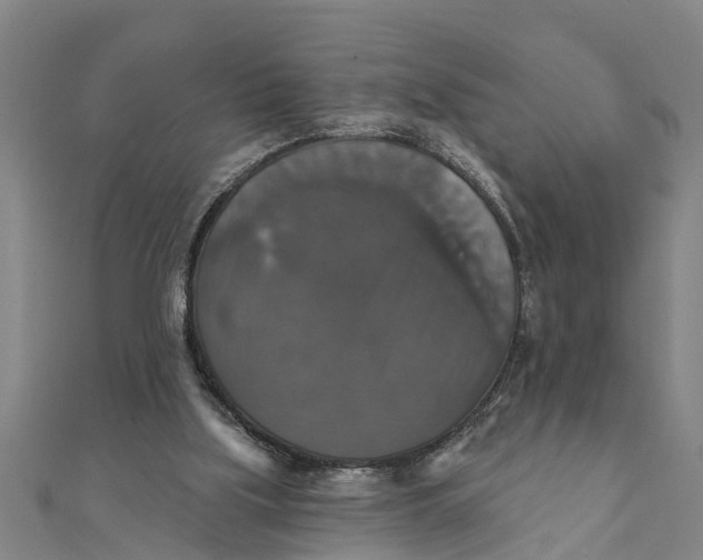 X0000111520059200908041252