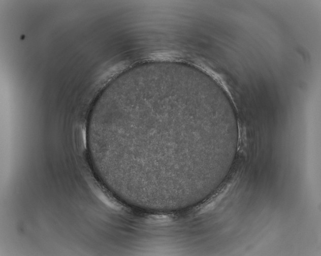 X0000111520061200908041252