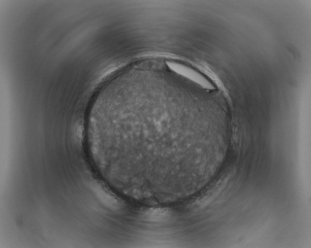 X0000111520063200908041252