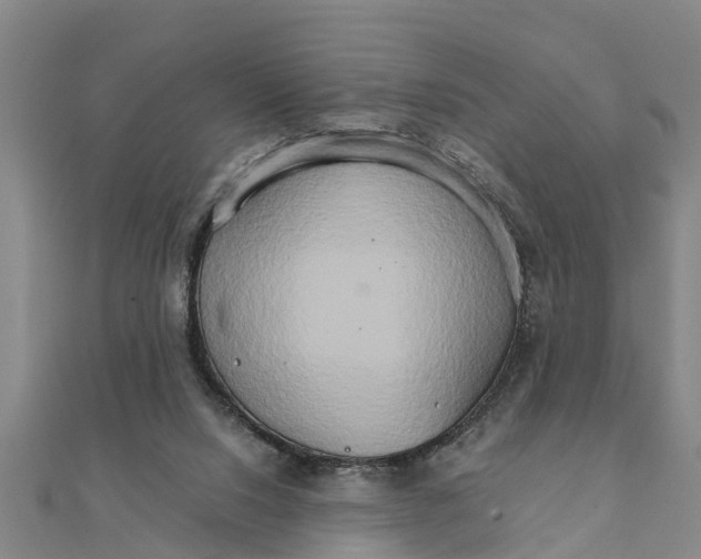 X0000111520064200908041252