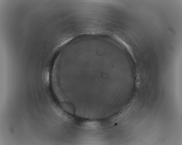 X0000111520067200908041252