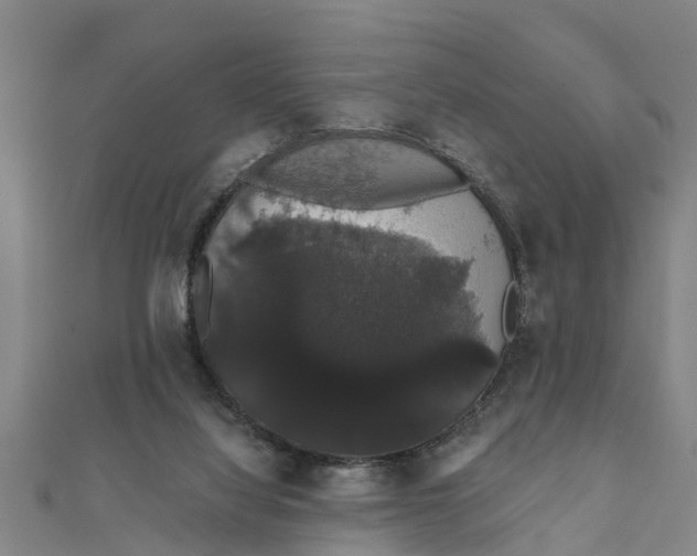 X0000111520068200908041252
