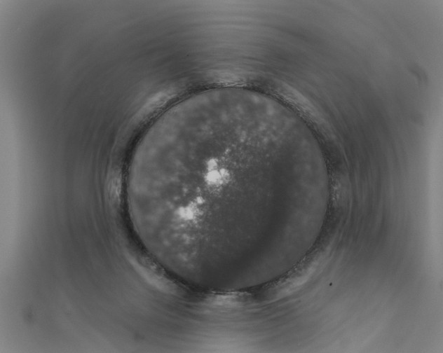 X0000111520072200908041252