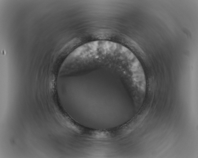 X0000111520073200908041252