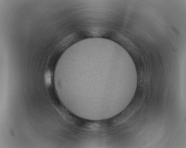 X0000111520075200908041252