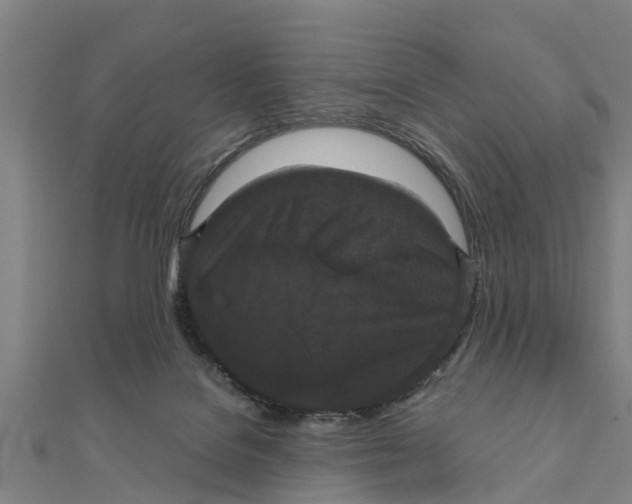 X0000111520076200908041252