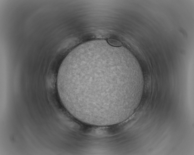 X0000111520078200908041253