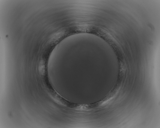 X0000111520080200908041253