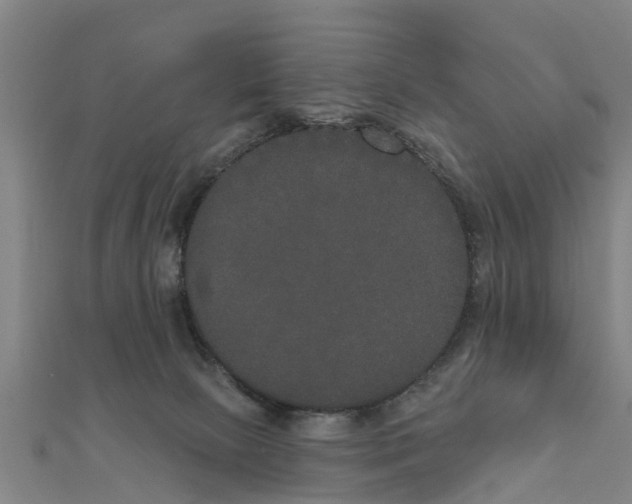 X0000111520081200908041253