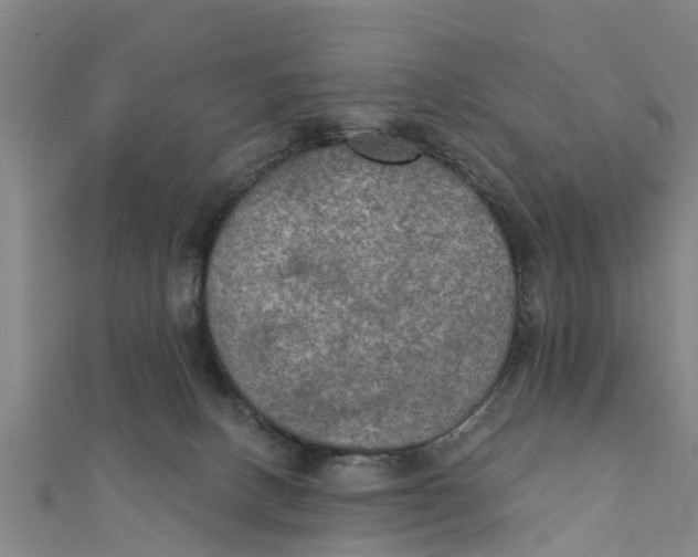X0000111520082200908041253