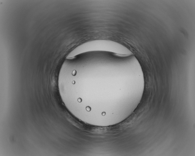 X0000111520084200908041253