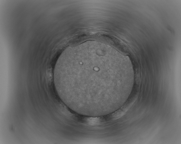 X0000111520085200908041253
