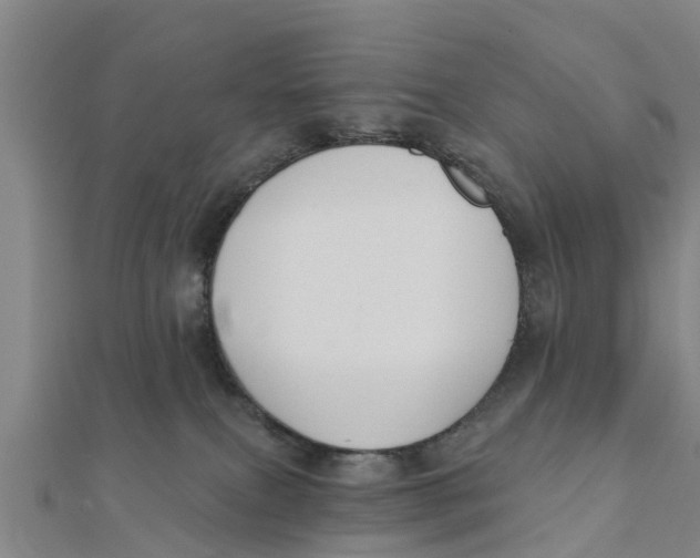 X0000111520087200908041253