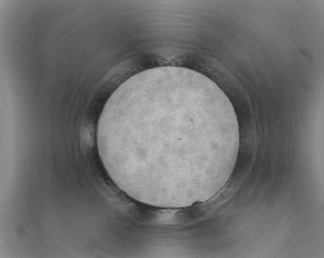 X0000111520090200908041253
