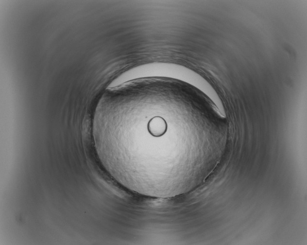 X0000111520092200908041253