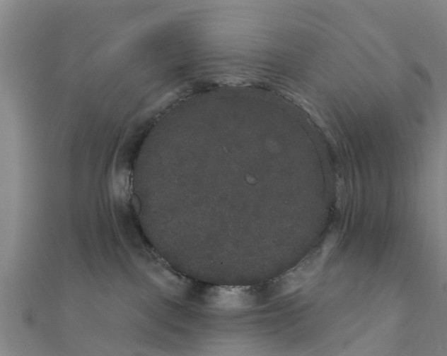 X0000111520093200908041253