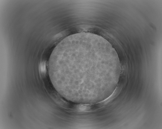 X0000111520094200908041253