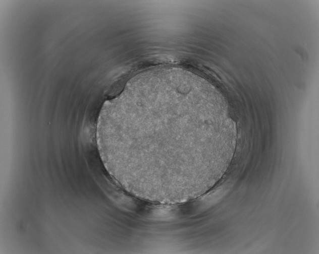 X0000111520096200908041253