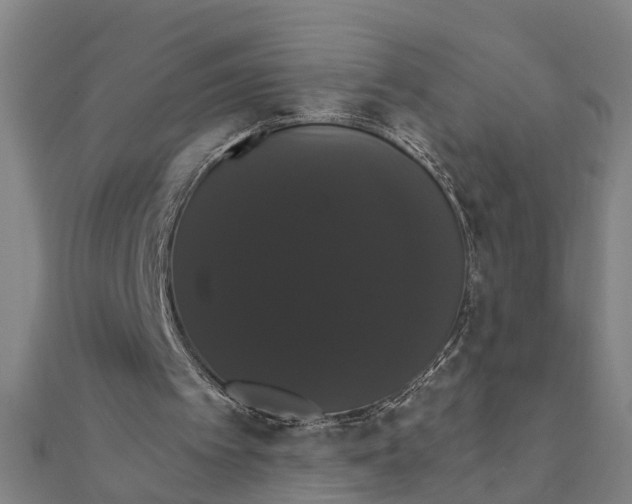 X0000111520097200908041252